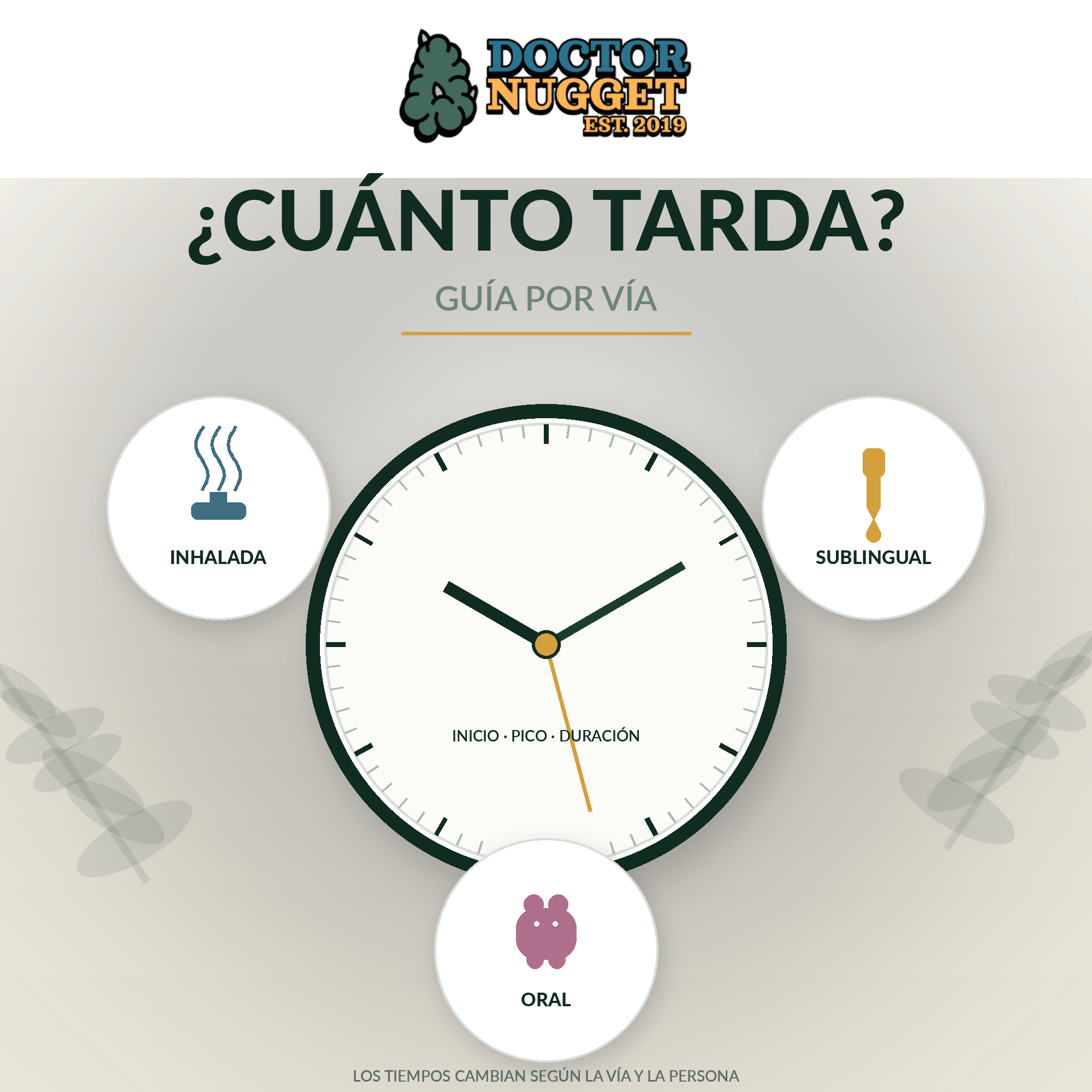¿Cuánto tarda en hacer efecto el cannabis y cuánto dura? Guía por vía