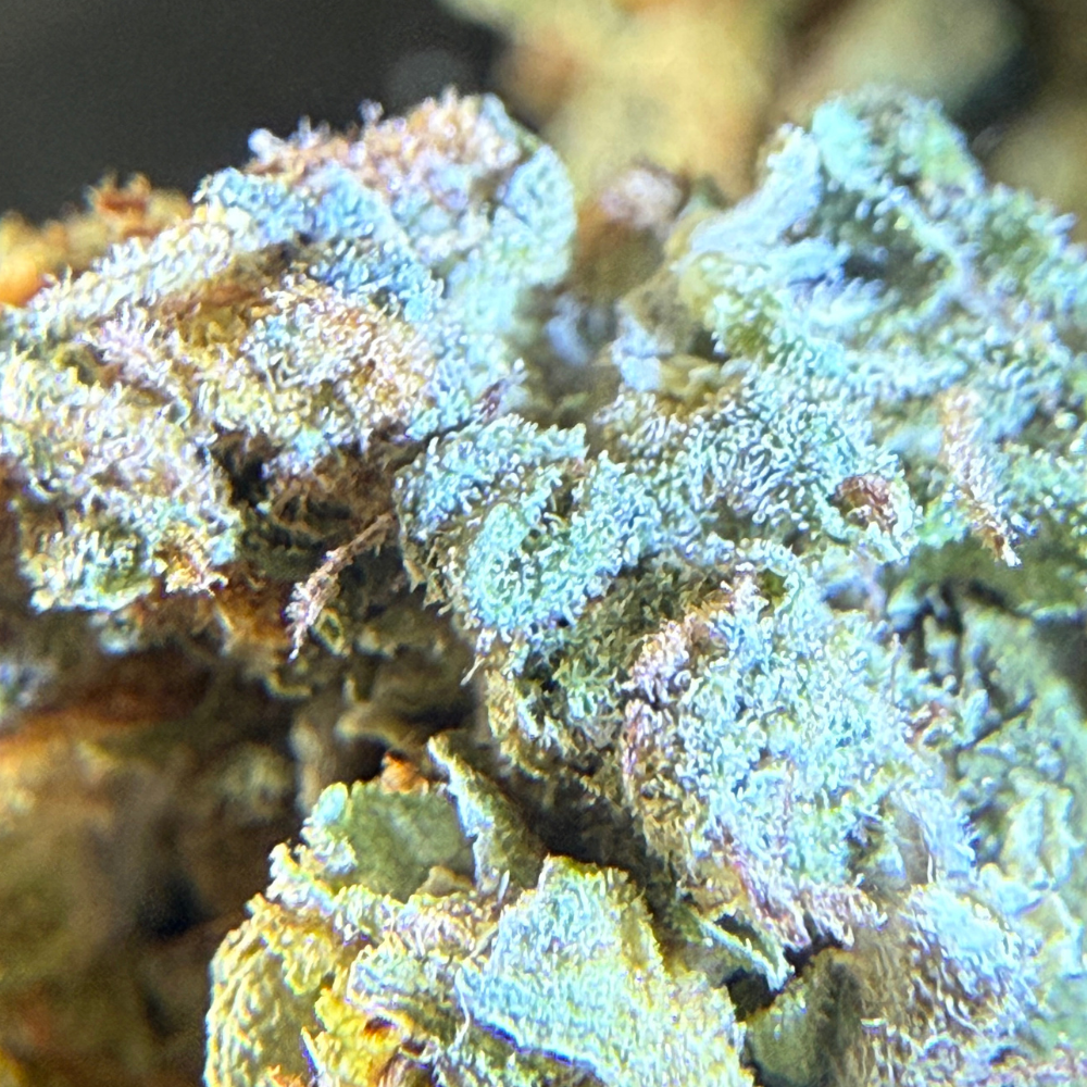 Maui Wowie Greenhouse Standard