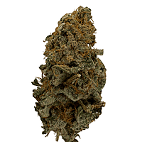 Invaders x Ghost Kong Indoor Hidropónica Premium Invaders x Ghost Kong Indoor Hidropónica Premium