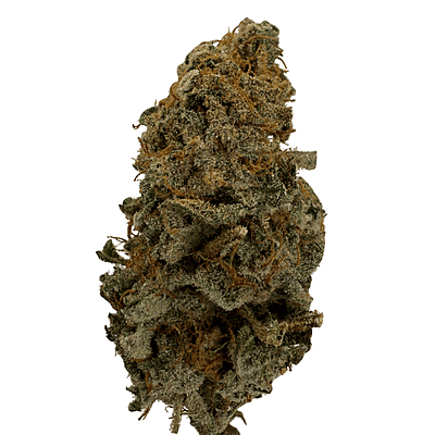 Invaders x Ghost Kong Indoor Hidropónica Premium Invaders x Ghost Kong Indoor Hidropónica Premium