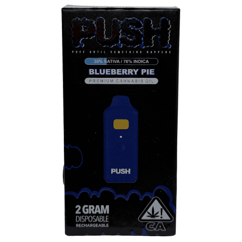Push oil vape Blueberry Pie 2G