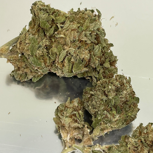 Gelato Greenhouse Gelato Greenhouse