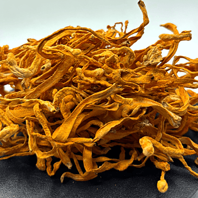 Hongo Cordyceps Militaris seco