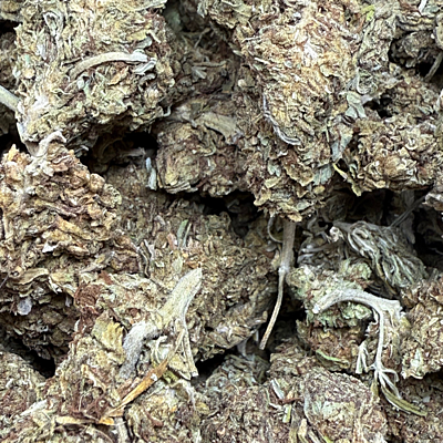 Cerrito Kush Exterior Regular Cerrito Kush Exterior Regular