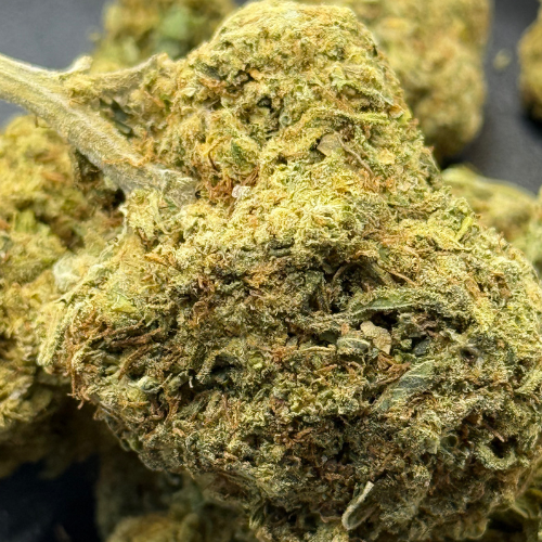Kali Kush Haze Greenhouse Kali Kush Haze Greenhouse