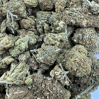 Northern Lights 2 Greenhouse