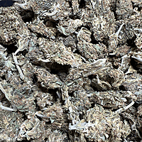 Amnesia Haze Exterior