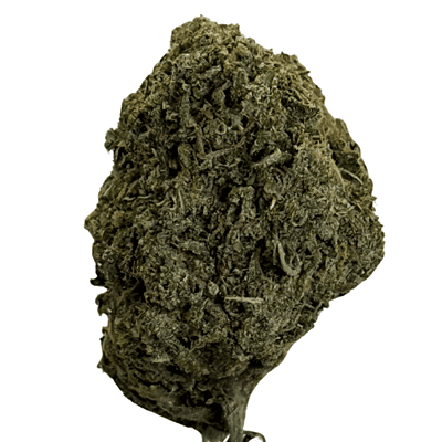 Orange Zkittlez Greenhouse Exotic