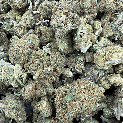 Northern Lights 2 Greenhouse