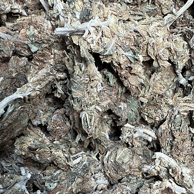 Amnesia Haze Exterior