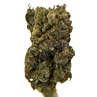Chem Funk Indoor Hidropónica Chem Funk Indoor Hidropónica