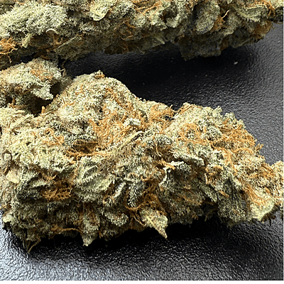 Invaders x Ghost Kong Indoor Hidropónica Premium Invaders x Ghost Kong Indoor Hidropónica Premium