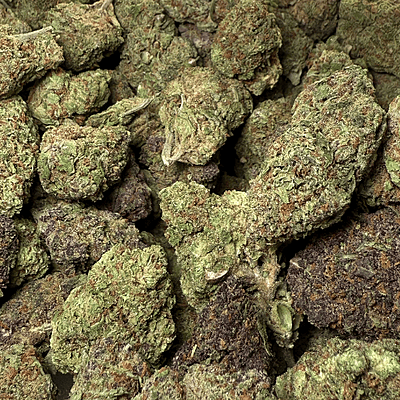 Strawpico Greenhouse Exotic Living Soil Strawpico Greenhouse Exotic Living Soil