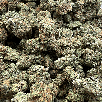 Gelato Exterior Premium Living Soil