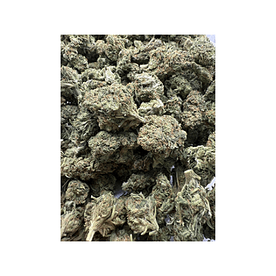 Blue Dream Greenhouse Exotic Living Soil