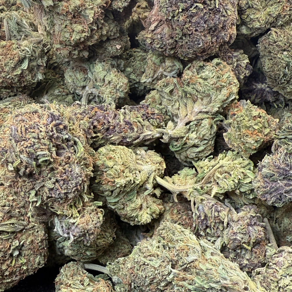 Birthday Cake Greenhouse Regular