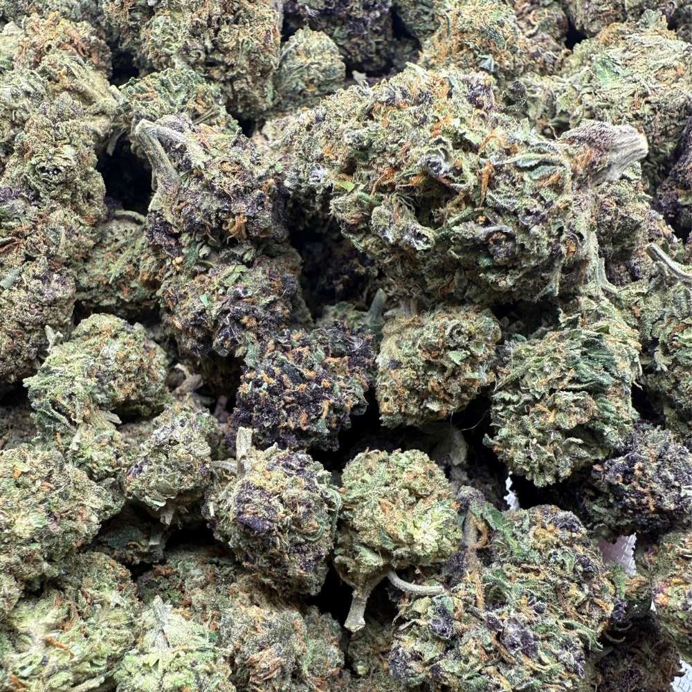 Cherry Pie Greenhouse Exotic