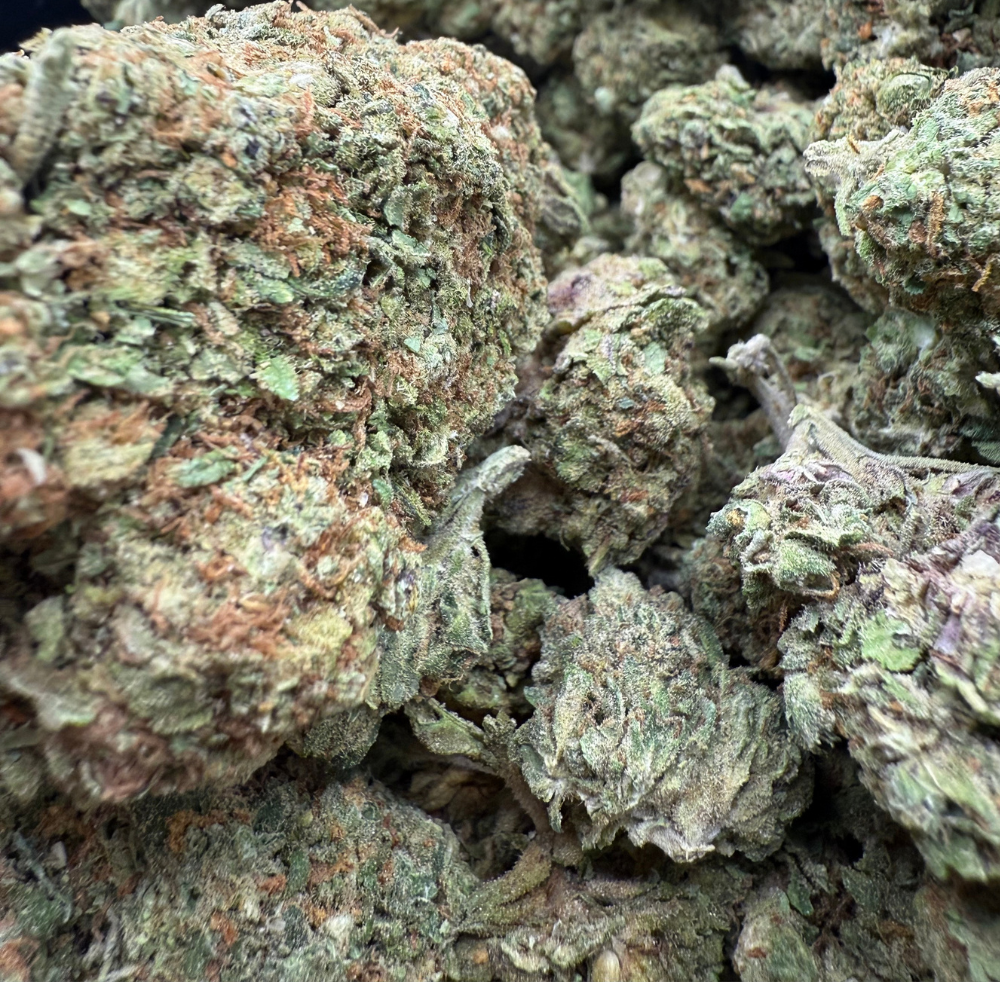 Confetti Greenhouse Standard