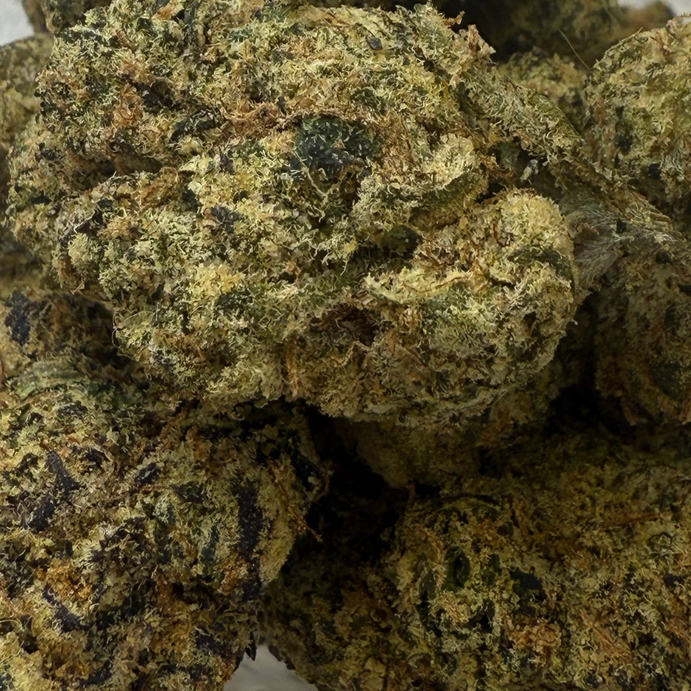 Pink Z Indoor Importada Top Shelf