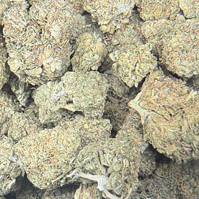 Orange Zkittlez Greenhouse Exotic