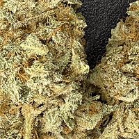 Invaders x Ghost Kong Indoor Hidropónica Premium Invaders x Ghost Kong Indoor Hidropónica Premium