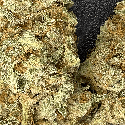 Invaders x Ghost Kong Indoor Hidropónica Premium Invaders x Ghost Kong Indoor Hidropónica Premium