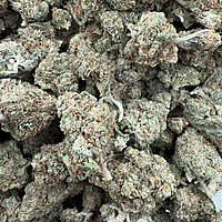 Gelato Exterior Premium Living Soil