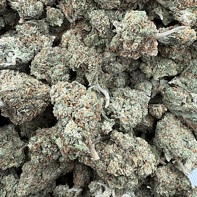 Gelato Exterior Premium Living Soil