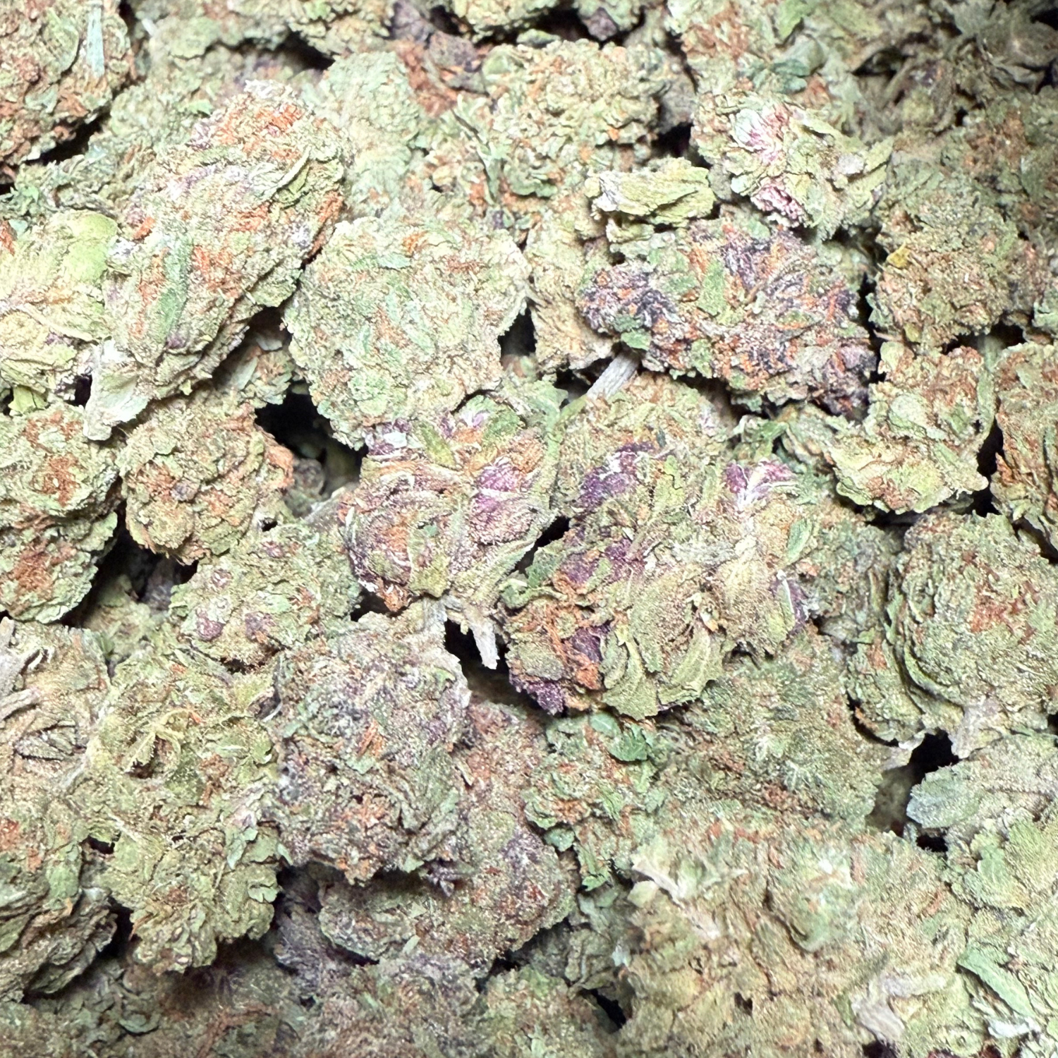 Dos Si Dos Greenhouse Select