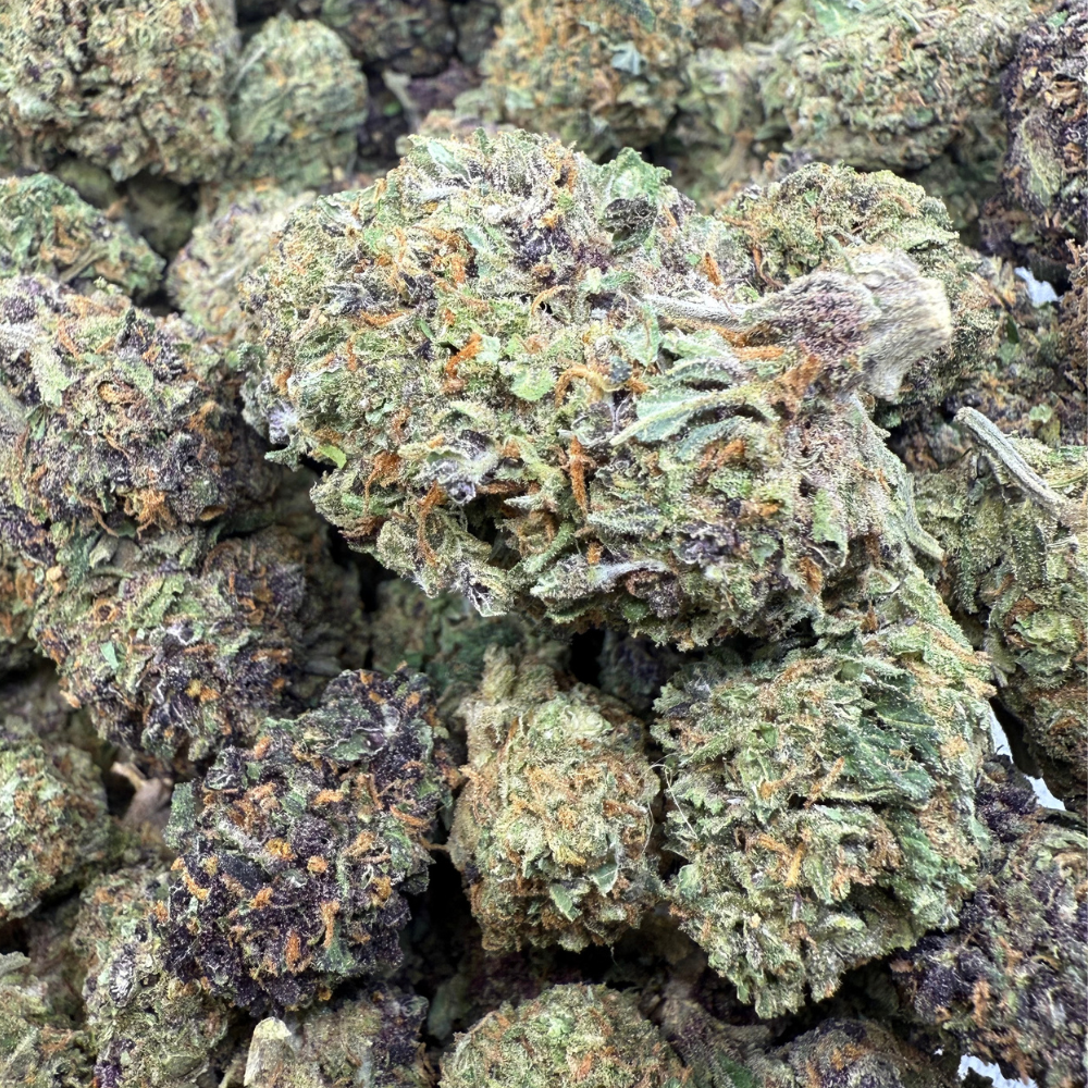 Cherry Pie Greenhouse Exotic