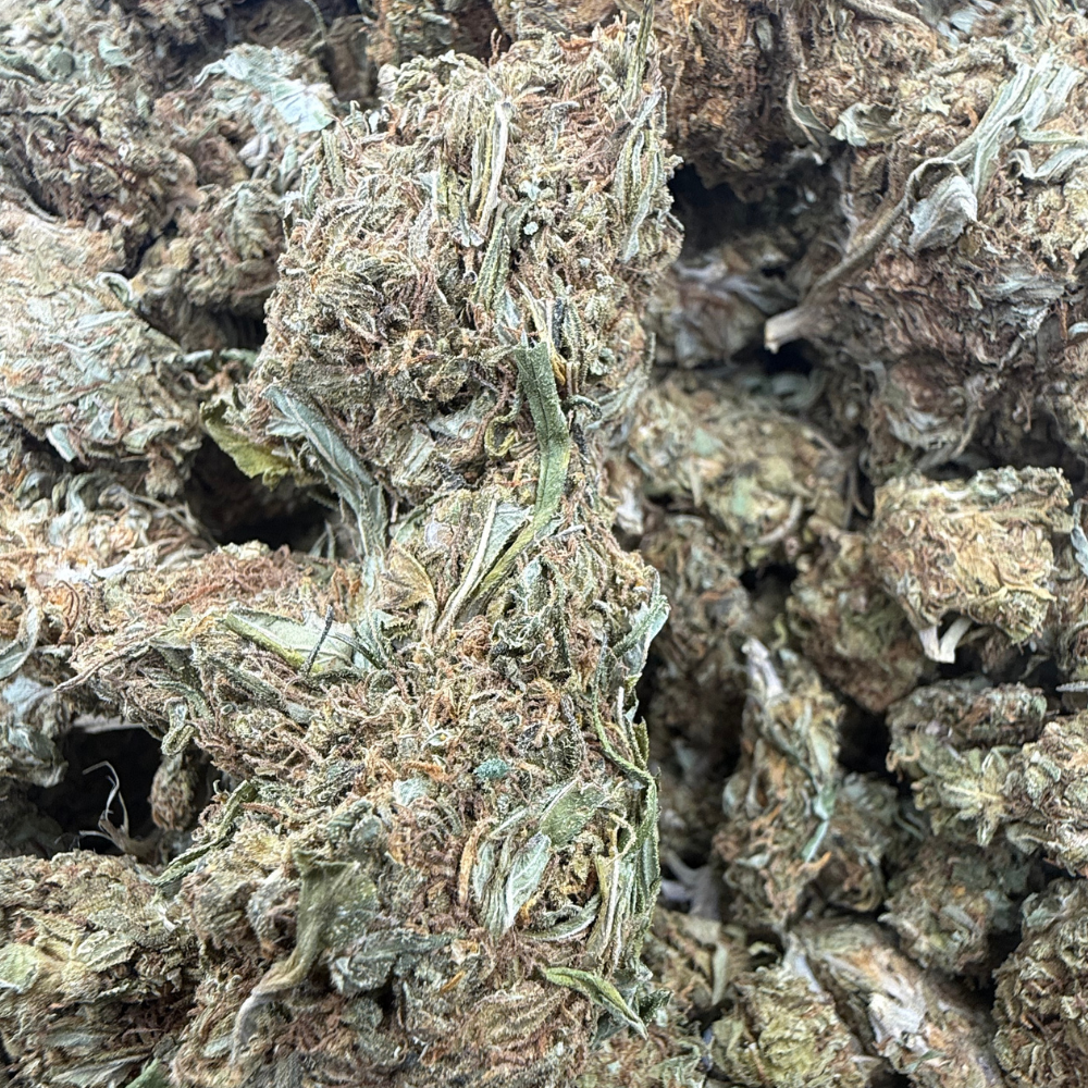 Fluffy Puffy Exterior Regular