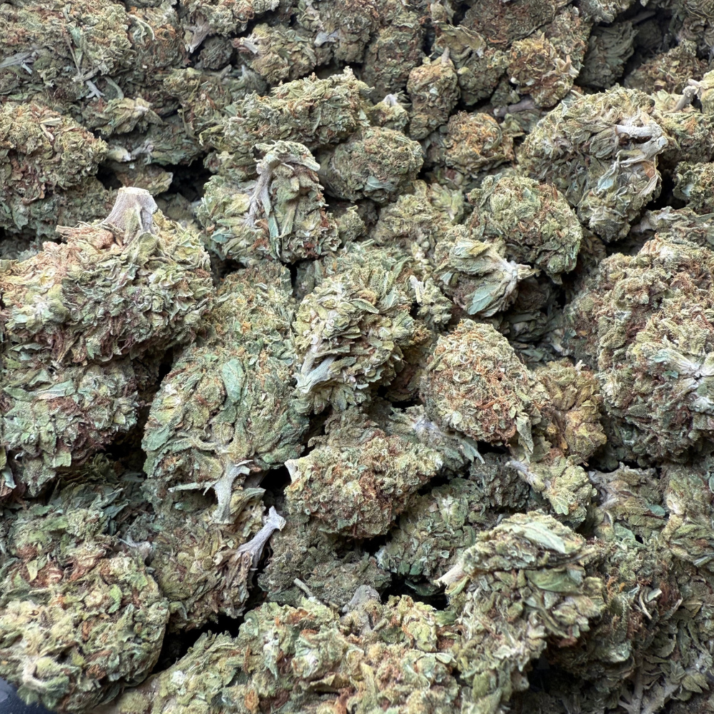 Maui Wowie Greenhouse Standard