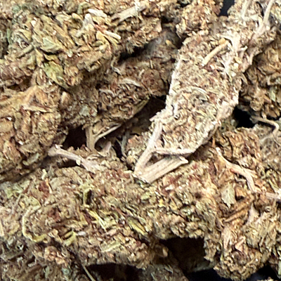 Cerrito Kush Exterior Regular Cerrito Kush Exterior Regular