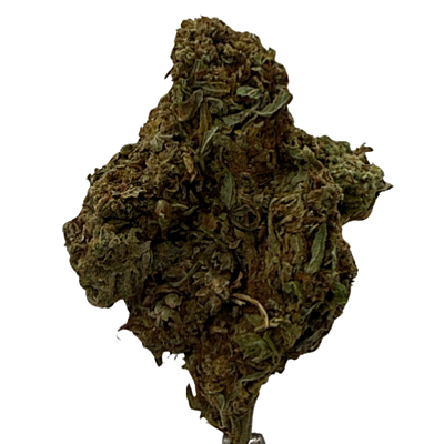 Mayoreo Cerrito Kush exterior regular