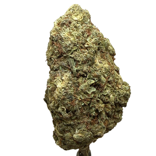 Kali Kush Haze Greenhouse Kali Kush Haze Greenhouse