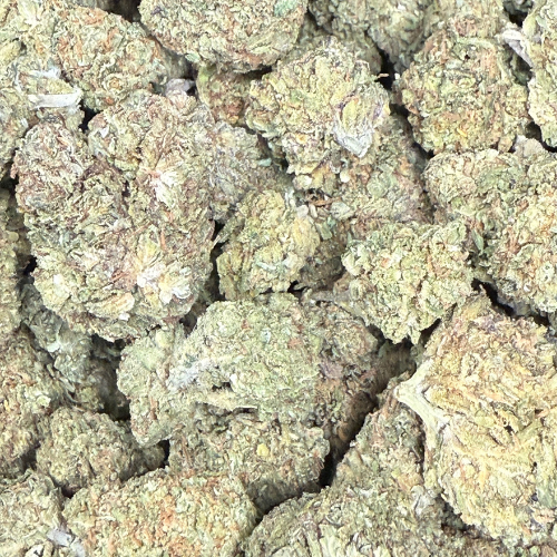 Orange Zkittlez Greenhouse Exotic Orange Zkittlez Greenhouse Exotic