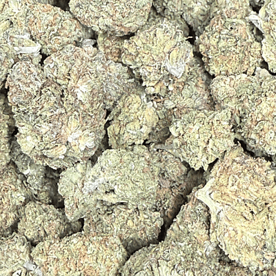 Orange Zkittlez Greenhouse Exotic