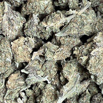 Apricot Gelato Greenhouse Exotic Apricot Gelato Greenhouse Exotic