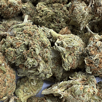 Northern Lights 2 Greenhouse