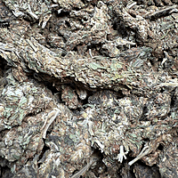 Amnesia Haze Exterior