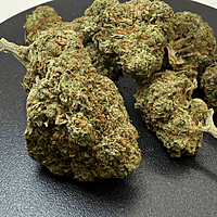 Strawpico Greenhouse Exotic Living Soil