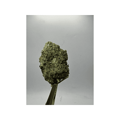 Blue Dream Greenhouse Exotic Living Soil