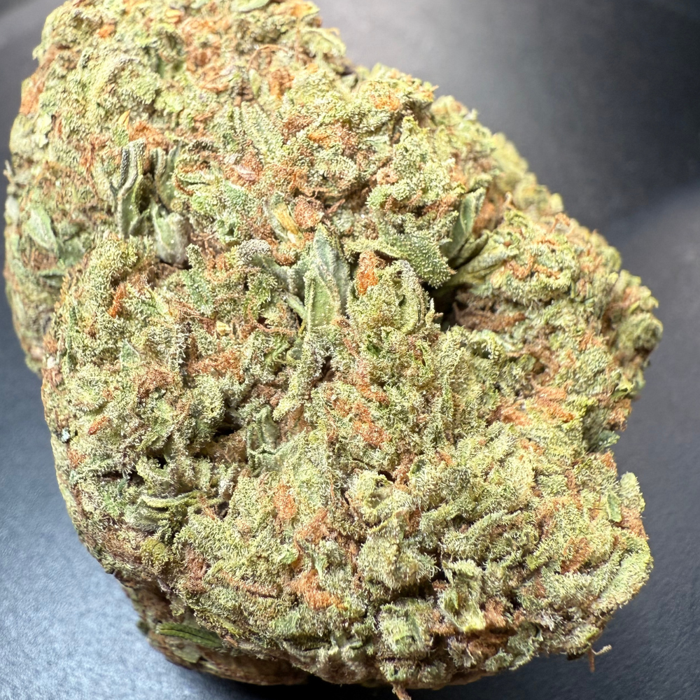 Birthday Cake Greenhouse Regular