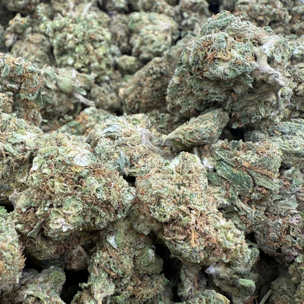 Confetti Greenhouse Standard