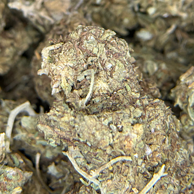 Cerrito Kush Exterior Regular Cerrito Kush Exterior Regular