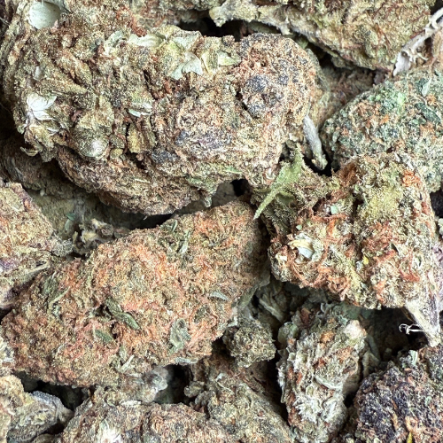 Kali Kush Haze Greenhouse Kali Kush Haze Greenhouse