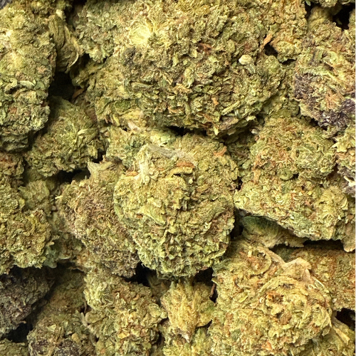 Orange Zkittlez Greenhouse Exotic Orange Zkittlez Greenhouse Exotic