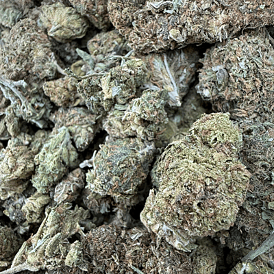 Northern Lights 2 Greenhouse