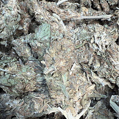 Amnesia Haze Exterior