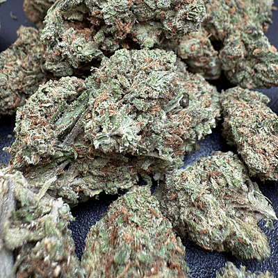 Gelato Exterior Premium Living Soil